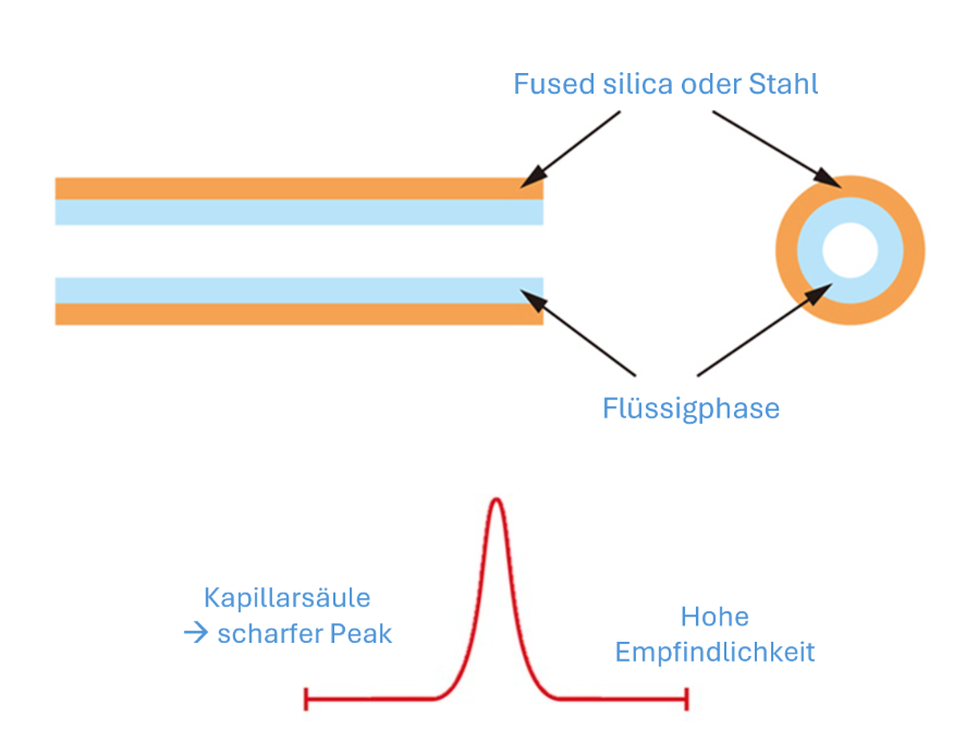 Querschnitt Kapillarsäule